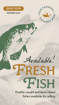 Fresh Fishes Available Instagram Story