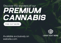 Premium Cannabis Postcard