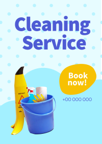 Professional Cleaning Poster