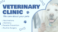 Professional Veterinarian Clinic Animation
