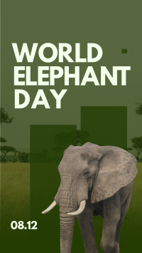 World Elephant Celebration Facebook Story