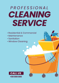 Cleaning Professionals Poster