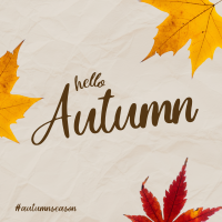 Autumn Leaves Instagram Post