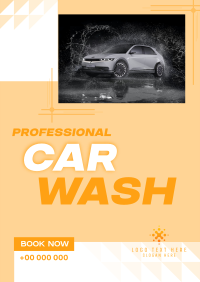 Professional Car Wash Services Poster