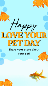 Bubbly Pet Day Instagram Reel