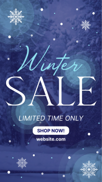 Winter Season Sale Instagram Story