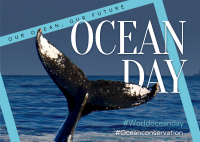Save our Ocean Postcard