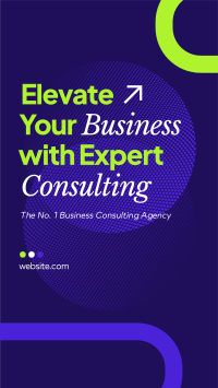 Expert Consulting Video