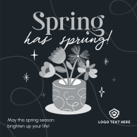 Spring Flower Pot Linkedin Post