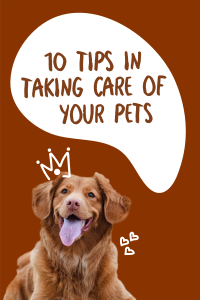 Happy Pets Pinterest Pin Design