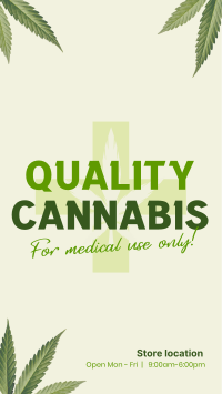 Quality Cannabis Plant Instagram Reel