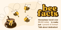 Honey Bee Facts Twitter Post