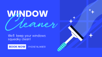 Squeaky Clean Windows Video