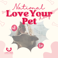 International Pet Day Instagram Post Image Preview