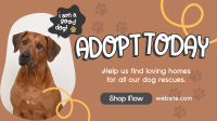 Dog Adoption Video