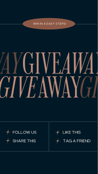 Elegant Minimal Giveaway Instagram Story