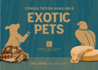 Exotic Vet Consultation Postcard