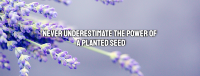 Lavender Buds Quote Facebook Cover