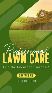 Professional Lawn Cleaning Facebook Story