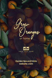 Grow Oranges Pinterest Pin