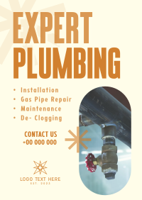 Expert Plumbing Poster