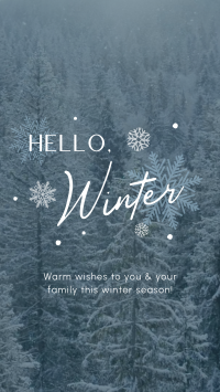 Minimalist Winter Greeting Facebook Story