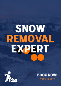 Snow Removal Expert Poster