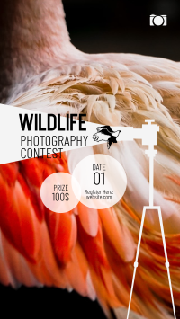 Wildlife Photography Contest Facebook Story