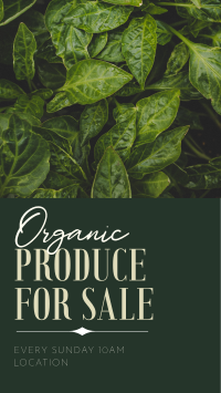 Come and Buy Our Fresh Produce Facebook Story