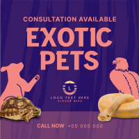 Exotic Vet Consultation Linkedin Post