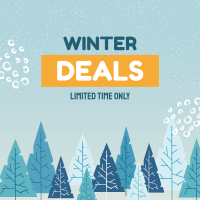 Winter Deals Instagram Post