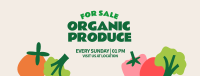 Organic Vegetables Facebook Cover Image Preview