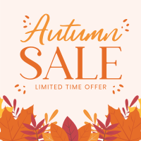 Autumn Limited Offer Instagram Post