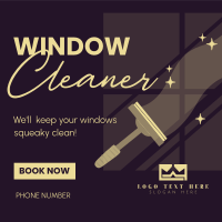 Squeaky Clean Windows Linkedin Post