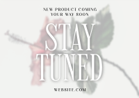 Minimalist New Product Stay Tuned  Postcard Image Preview