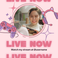 Livestreamer Instagram Post example 2