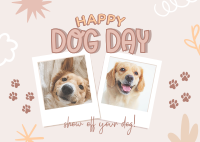 Doggy Photo Book Postcard