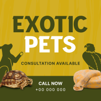 Exotic Vet Consultation Linkedin Post