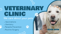 Professional Veterinarian Clinic Video