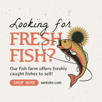 Fresh Fish Farm Linkedin Post