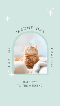 Wednesday Hump Day Facebook Story