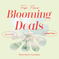 Fresh Flower Deals Instagram Post