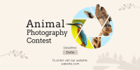 Animals Photography Contest Twitter Post Design