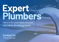 Expert Plumbers Postcard