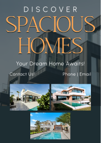 Spacious Homes Flyer