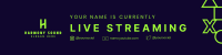 In Game Twitch Banner Image Preview