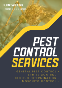 Straight Forward Pest Control Flyer