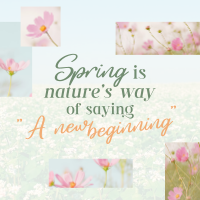 Spring Quote Instagram Post