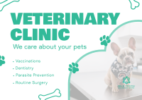 Professional Veterinarian Clinic Postcard Image Preview