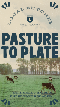 Rustic Livestock Pasture Video